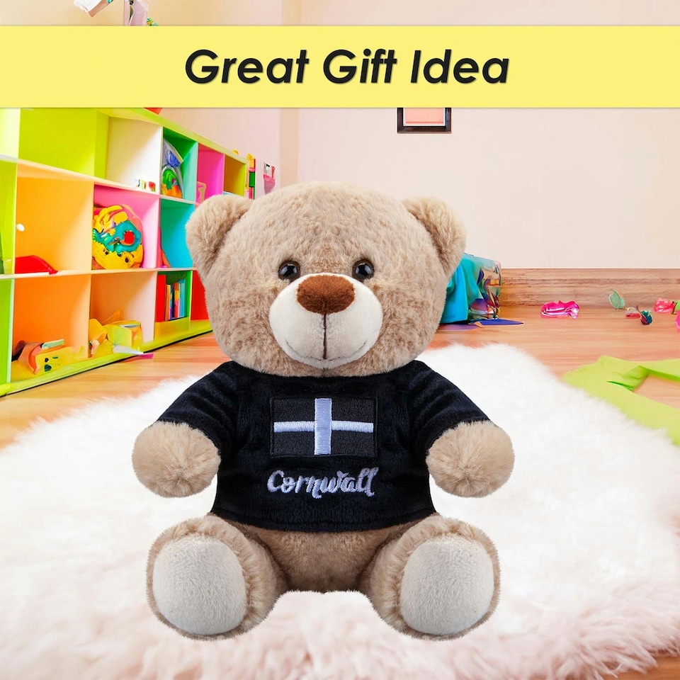image 1 of Cornwall Bear Soft Toy Cute Plushie Huggable Cuddly Stuffed Toy Gift 20cm Black