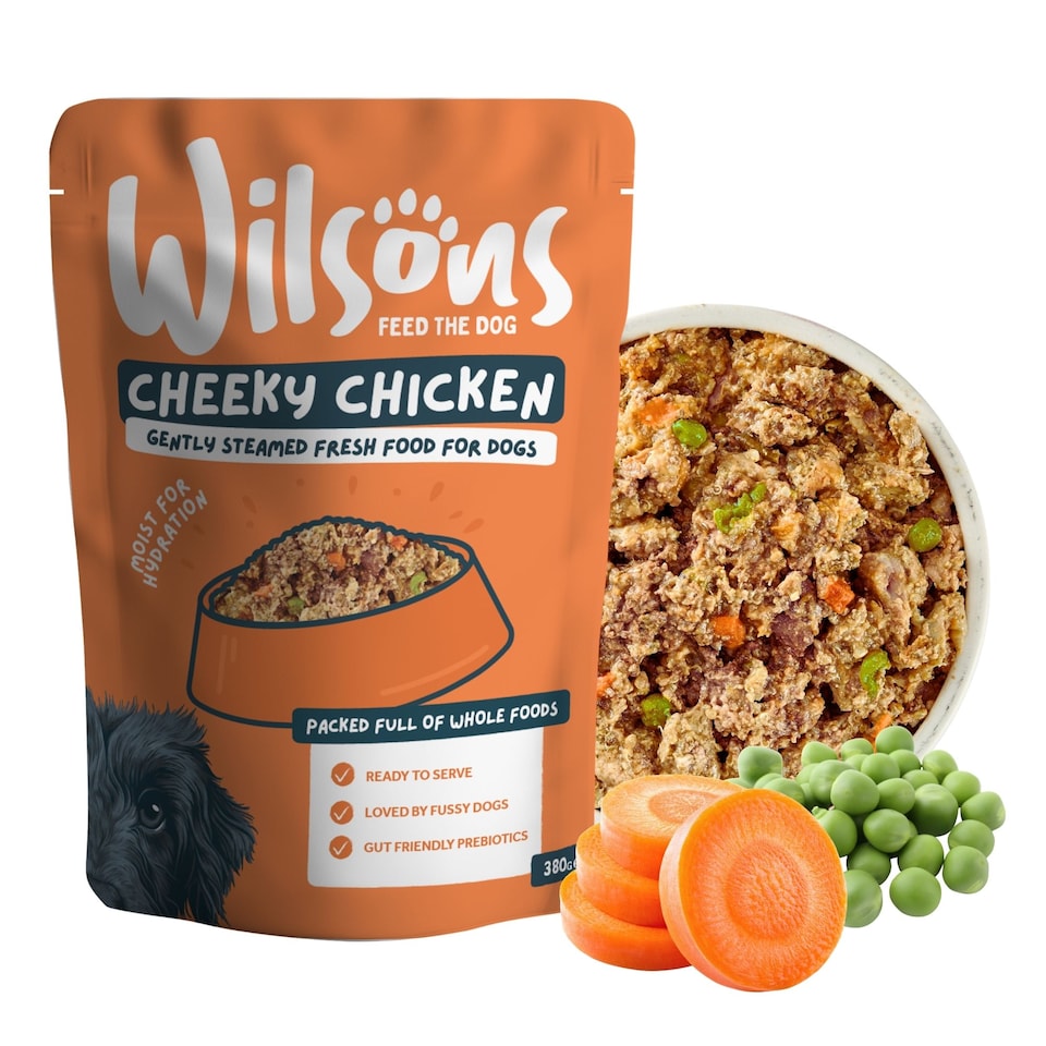 image 1 of Wilsons Poultry Fresh Dog Food Complete Natural Nutrition for Adult Dogs - 16x 380g Pouches