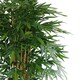 image 5 of 180cm UV Resistant Bamboo Premium  Realistic Green | One Size