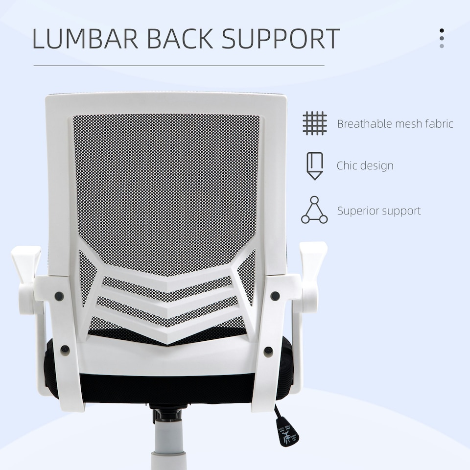 image 1 of Vinsetto Mesh Swivel Office Chair w/ Lumbar Support, Black and White