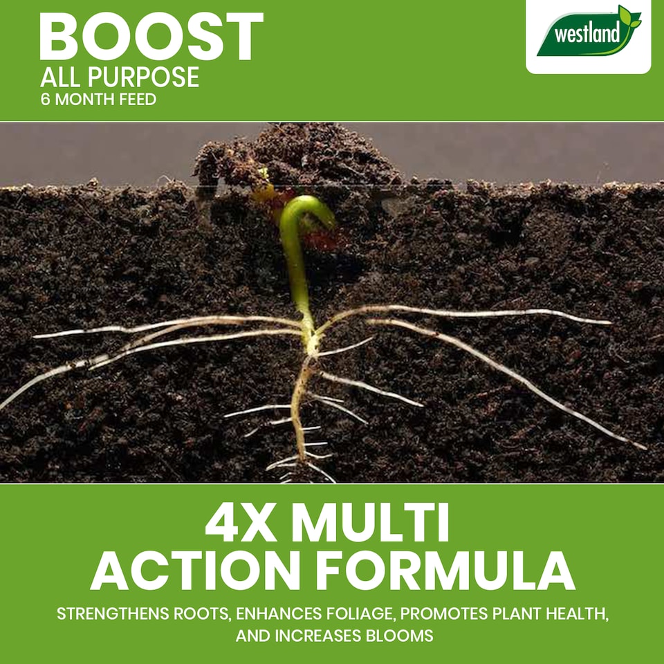 image 1 of Westland Boost All Purpose Plant Food 750g Slow Release Granules 6 Month Feed for Flowers Fruits Vegetables Healthy Growth