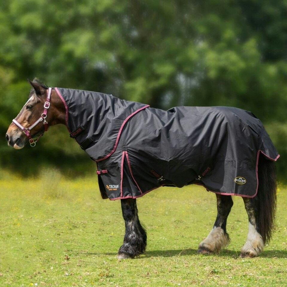 image 1 of Gallop Equestrian Trojan Dual 50G Turnout Set Black | Size: 7ft 0
Colour: Black