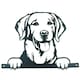 image 1 of Black Metal Peeking Retriever Silhouette with Fixing Plate Garden Ornament Gift