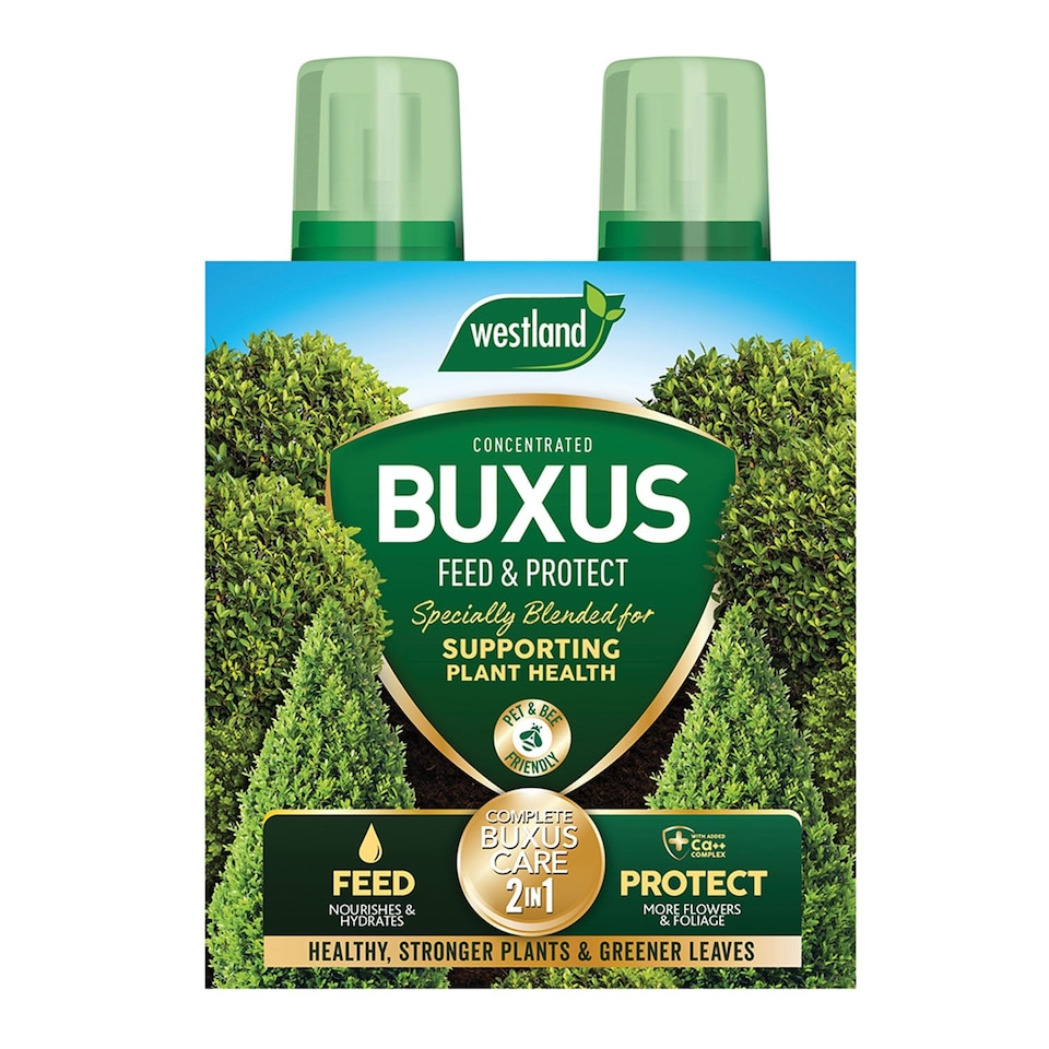 image 1 of Westland Buxus Feed & Protect 2 in 1 - 2 x 500ml | Clear | 1 x Duo Pack | 2
