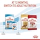 image 8 of Royal Canin Medium Dry Puppy Food 3kg