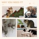 image 5 of PawHut Cat Scratcher Lounge Sofa Cardboard with Catnip, 58 x 29.5 x 29cm