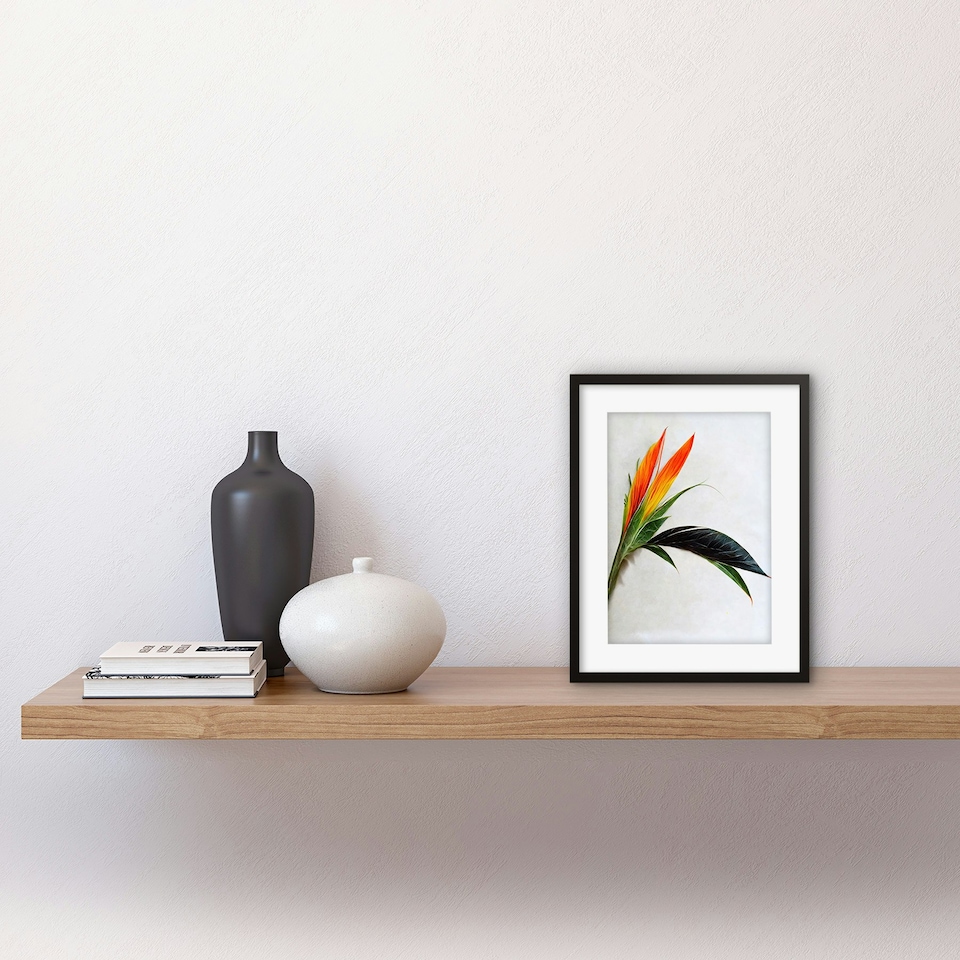 image 1 of Tropical Plant Bird of Paradise Flower Botanical Bloom 9x7" Black Framed Wall Art Print