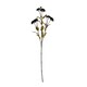 image 1 of Hill Interiors Chrysanthemum Artificial Flower - Black - One Size