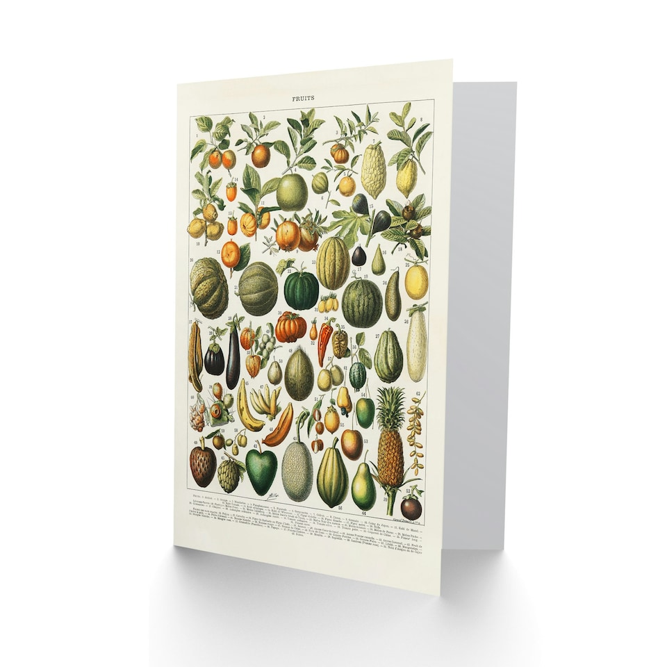 image 1 of Nouveau Larousse Illustre Art Card Fruits and Vegetables