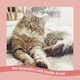 image 3 of Burgess Adult Cat Scottish Salmon - 10KG