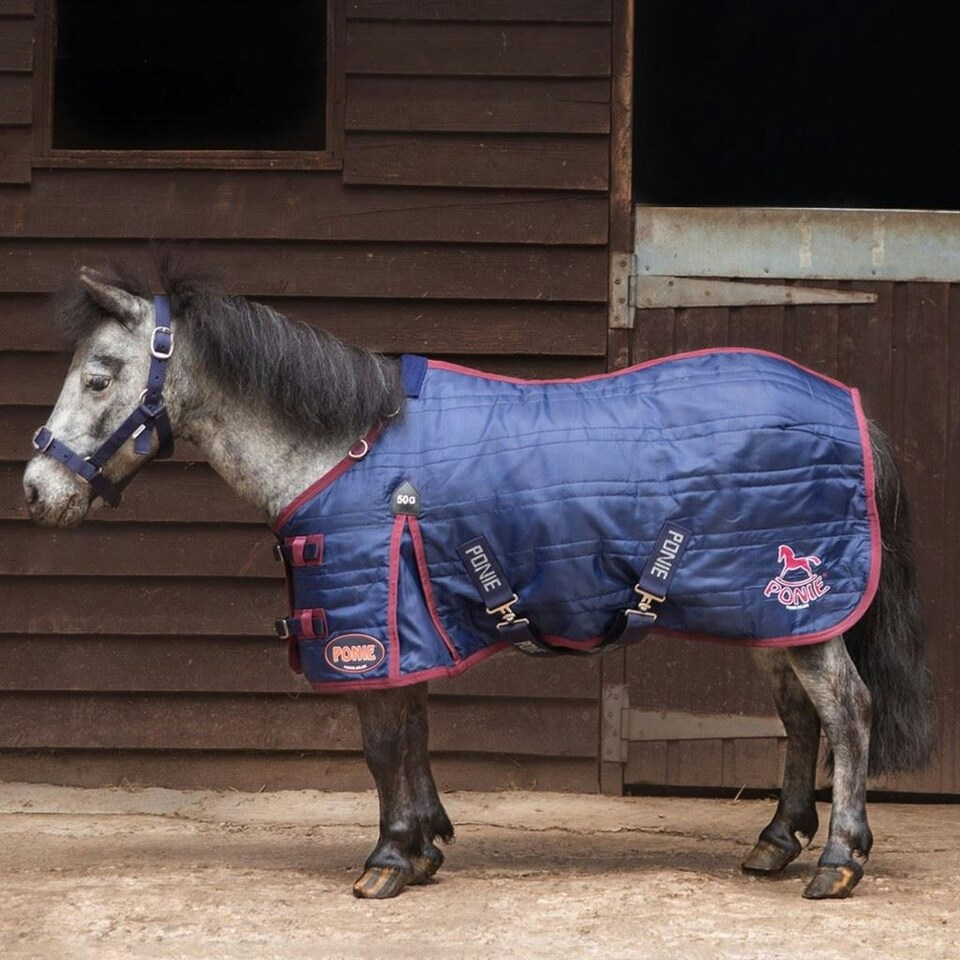 image 1 of Gallop Equestrian Ponie 50G Stable Rug Blue | Size: 3ft 9
Colour: Navy