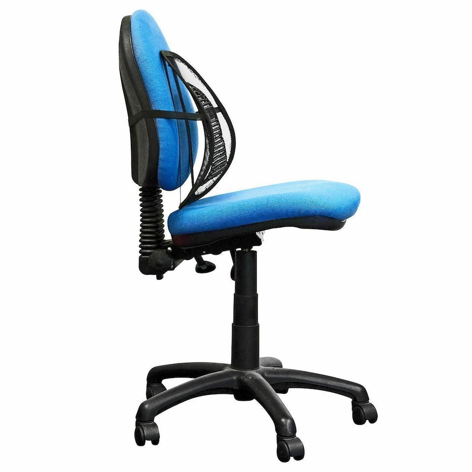 image 1 of GEEZY Lumbar Mesh Back Support for Home Office Chair