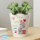 image 5 of Personalised Me To You Love Grows Plant Pot | White