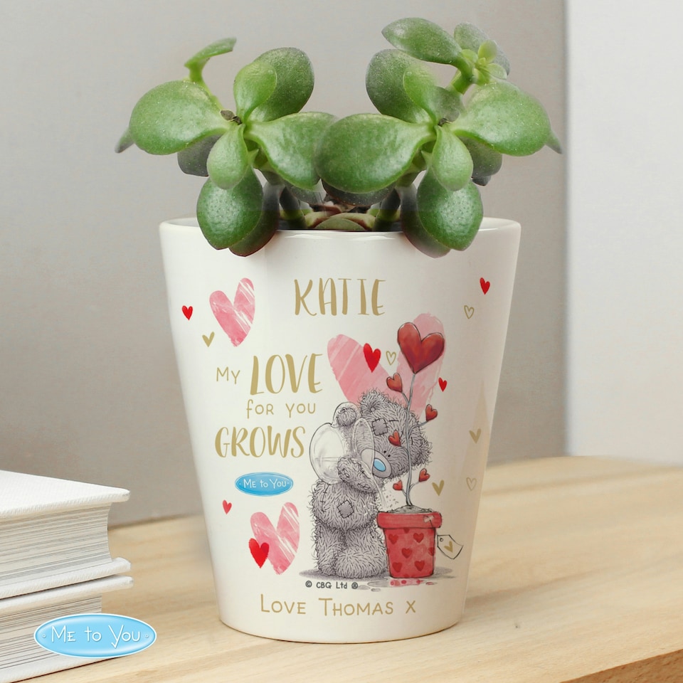 image 1 of Personalised Me To You Love Grows Plant Pot | White