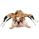 image 2 of Bristol Novelty Spider Dog Costume - Brown/Black/White - L Brown | L
