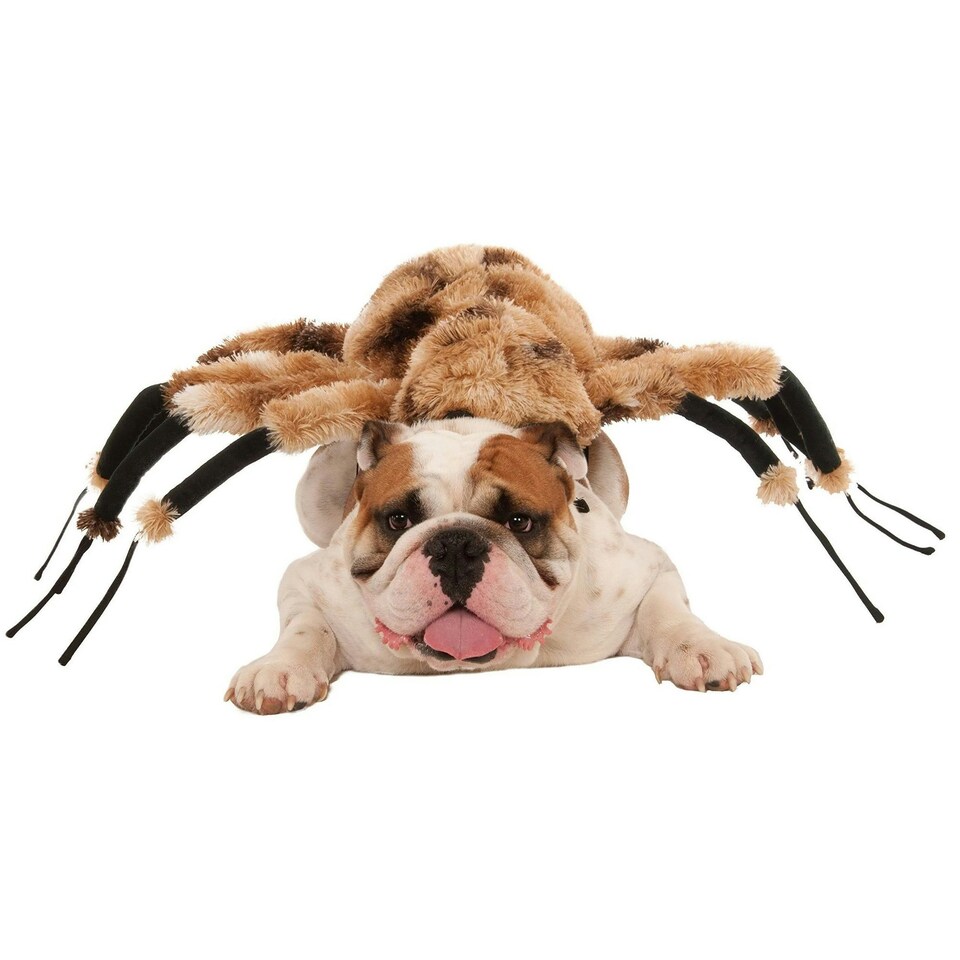 image 1 of Bristol Novelty Spider Dog Costume - Brown/Black/White - L Brown | L
