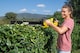 image 7 of Karcher HGE 18-50 Cordless Hedge Trimmer (Battery Set)