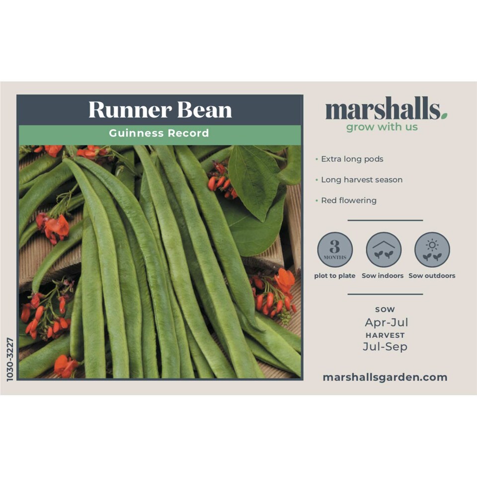 image 1 of Marshalls Garden Runner Bean Seeds 'Guinness Record' | Multi | Red | Seeds