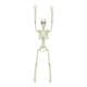 image 2 of 90cm Skeleton