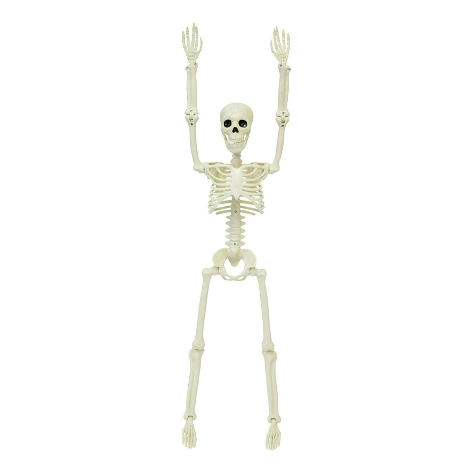 image 1 of 90cm Skeleton