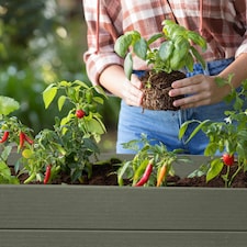 Darwin Elevated Garden Bed - Green