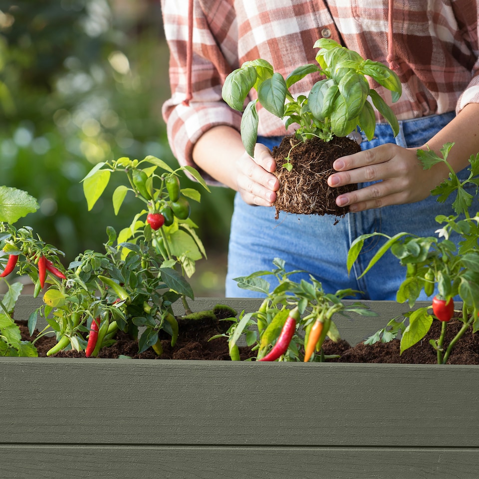 Darwin Elevated Garden Bed - Green