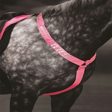 Shires Equi-Flector® Breastplate Pink | Size: Cob/Full
Colour: Pink