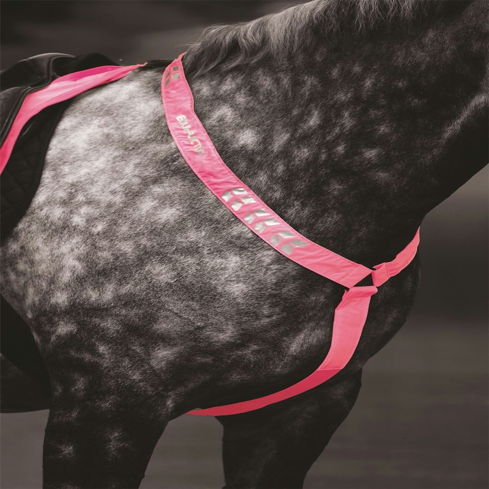 image 1 of Shires Equi-Flector® Breastplate Pink | Size: Cob/Full
Colour: Pink