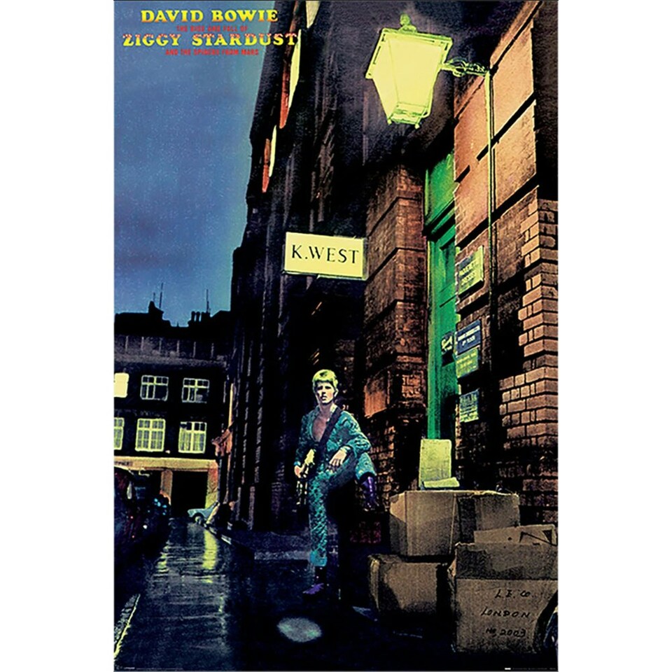 David Bowie The Rise and Fall of Ziggy Stardust Album Poster - Multicoloured - One Size