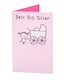 image 5 of Sister Birth Congratulations Card - Best Big Sister