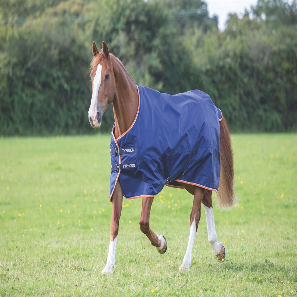 Shires Typhoon 100 Turnout Rug Blue | Size: 4ft 9
Colour: Navy Blue
