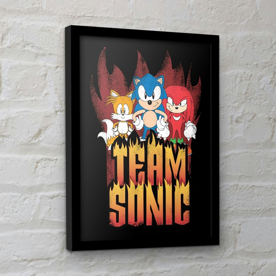image 1 of Sonic The Hedgehog (Team Sonic) Framed 30x40cm Print