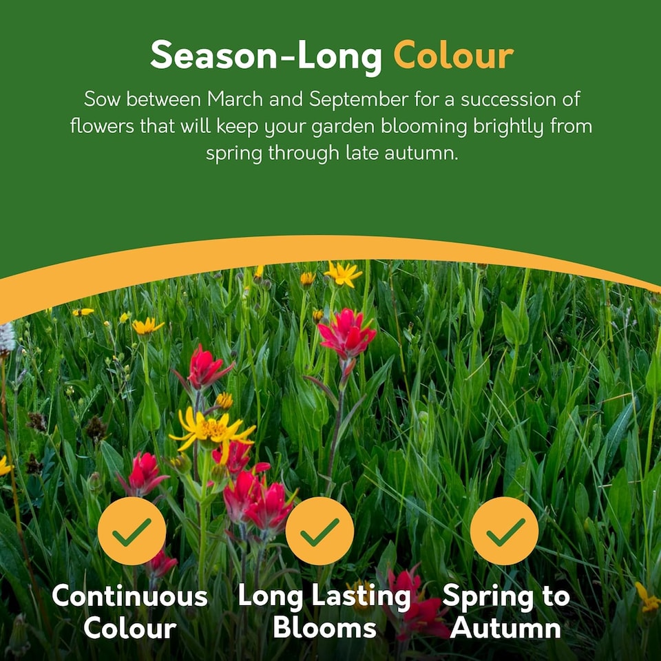 image 1 of Pronto Seed Pure Wildflower Seed Mix 100g, Covers 100m2