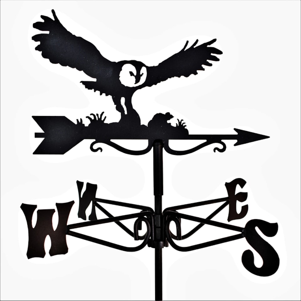 image 1 of Mini Owl & Mouse Weathervane - Steel - L38 x W38 x H48 cm - Black