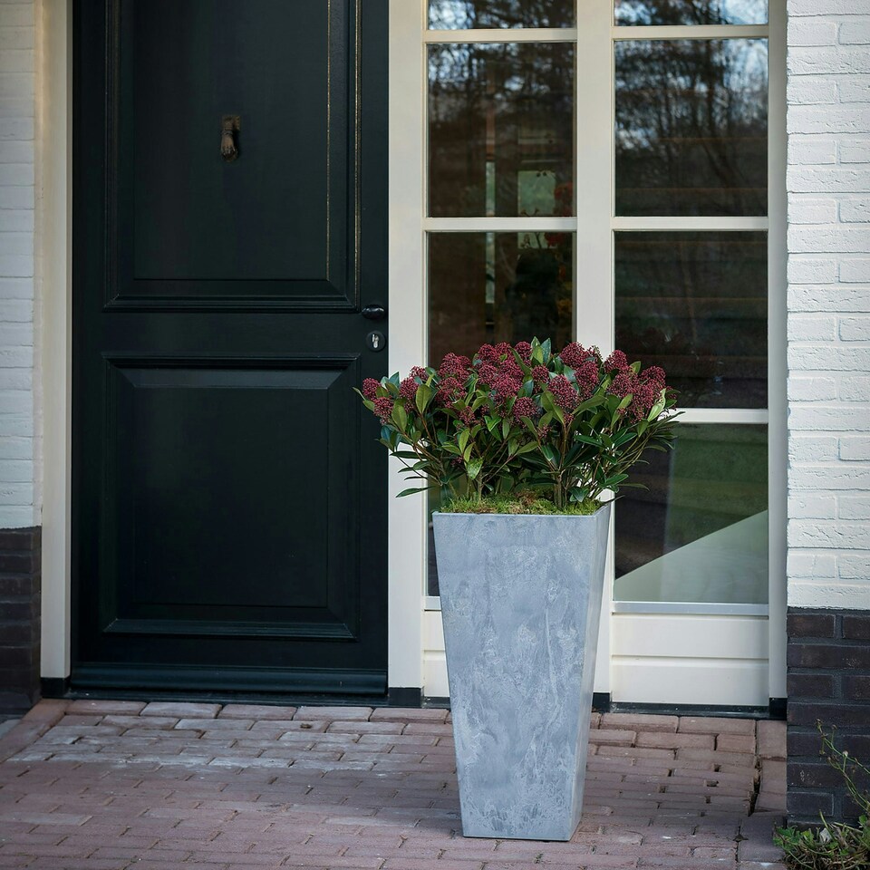 image 1 of Vase Ella Black