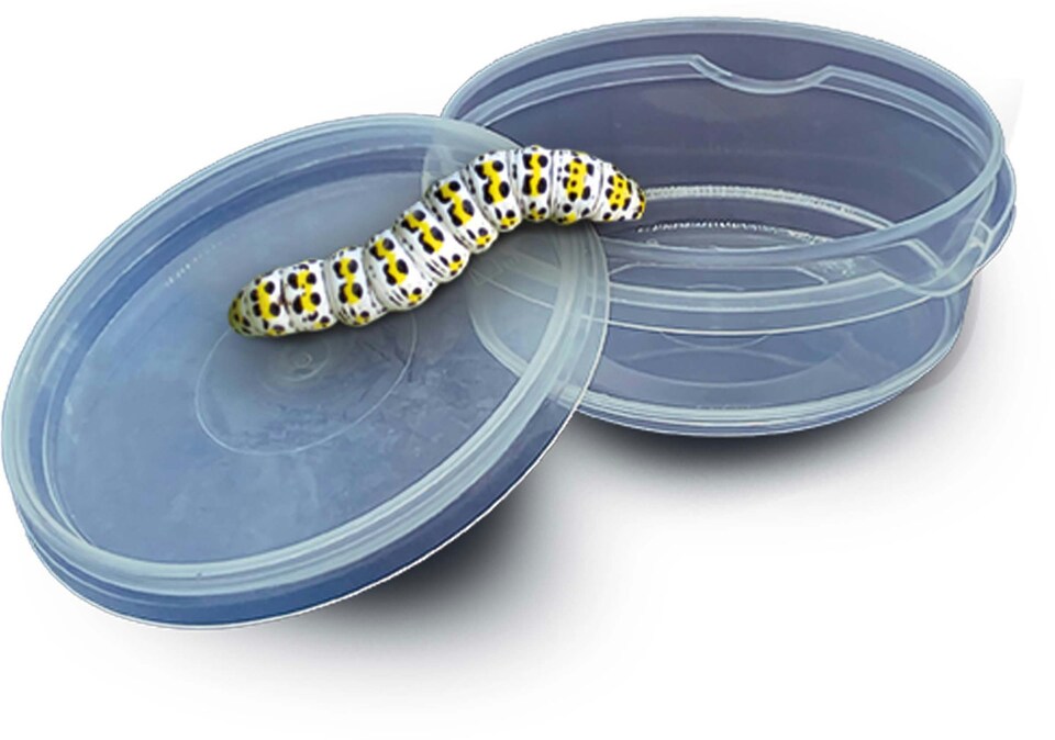 image 1 of SES Creative Insect Explorer