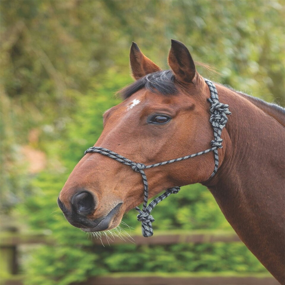 image 1 of Shires Rope Control Headcollar Black | Colour: Purple/Black
Size: One Size
