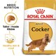 image 1 of Royal Canin Cocker Adult Dry Dog Food for Cocker Spaniels - 3 kg | Multi | 3kg | Chicken, Rabbit | 1