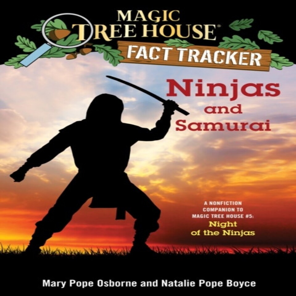 Ninjas And Samurai