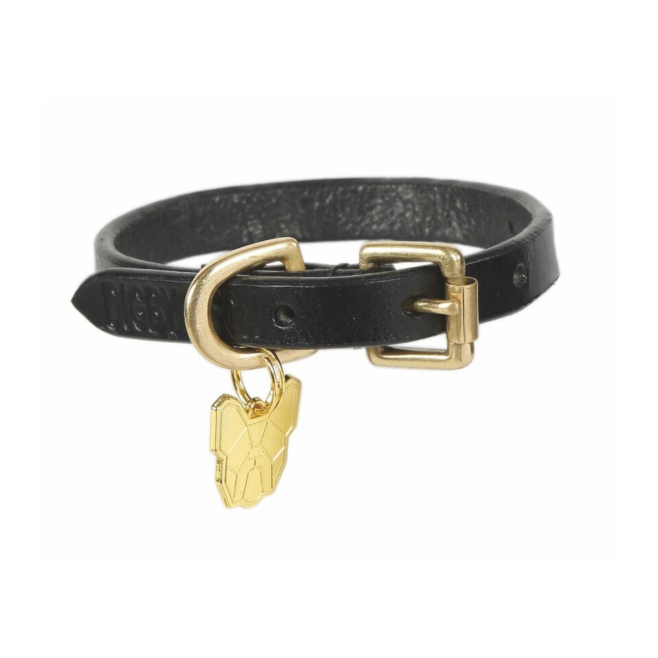 image 1 of Digby & Fox Flat Leather Dog Collar - Black - XXS - Neckline: 8in-11in