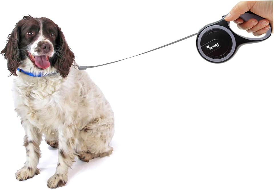 image 1 of Actiaspet Retractable Dog Lead Training Pet Leash 5m Max 50kgs Extendable (Grey)