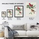 image 3 of Cardinal Grosbeak Bird Audubon Nature Huge Wall Art Poster Print 24X32"