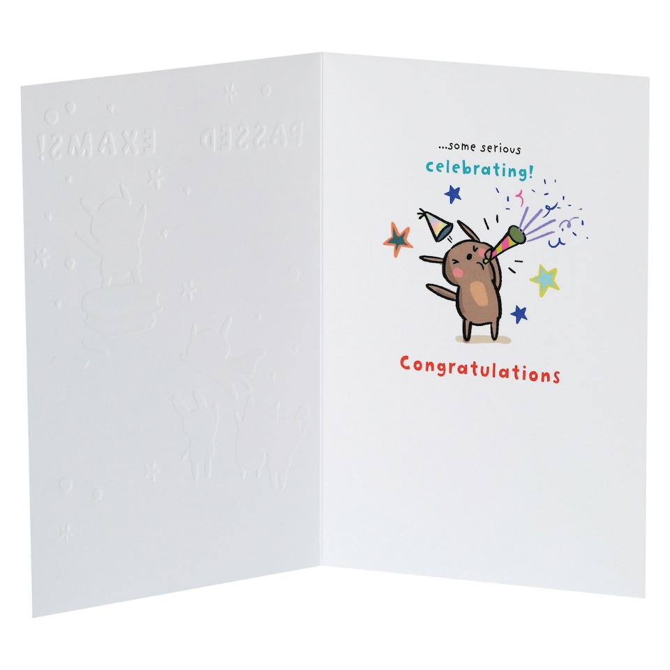 image 1 of Passed Exams/Congratulations Card for Him/Her/Friend | Sweet Cartoon Design