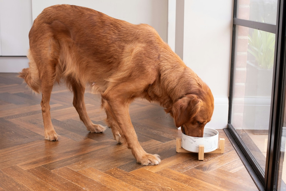 image 1 of Ceramic Bowl with Bamboo Stand for Dogs & Cats - Marble Grey