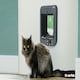 image 5 of Closer Pets Microchip Activated Weatherproof Flap / Door with Manual Lock – Anthracite Dark Grey (CP360G)