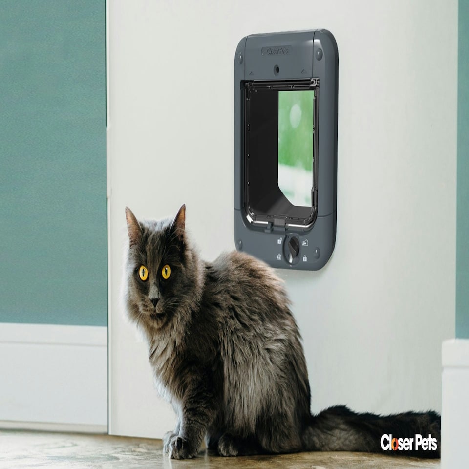 image 1 of Closer Pets Microchip Activated Weatherproof Flap / Door with Manual Lock – Anthracite Dark Grey (CP360G)