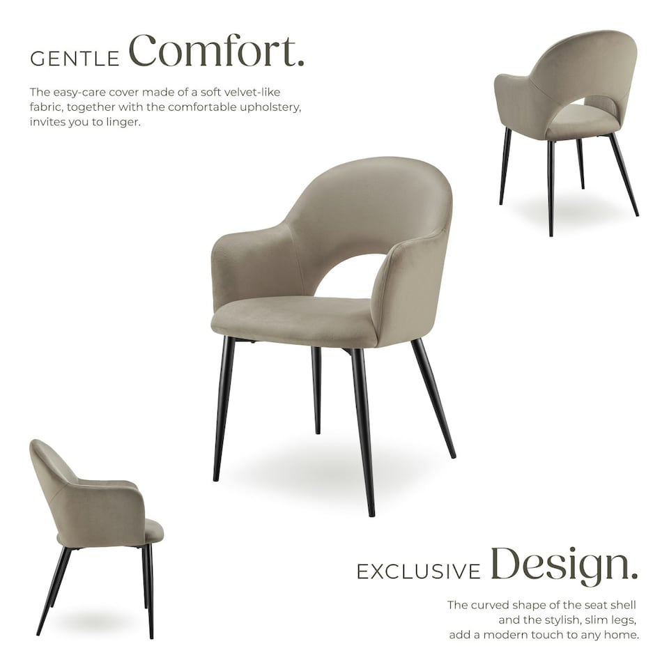 image 1 of Dining Chair Sasha- padded armchair in velvet look, continuous backrest - Set of 2 Brown | Taupe