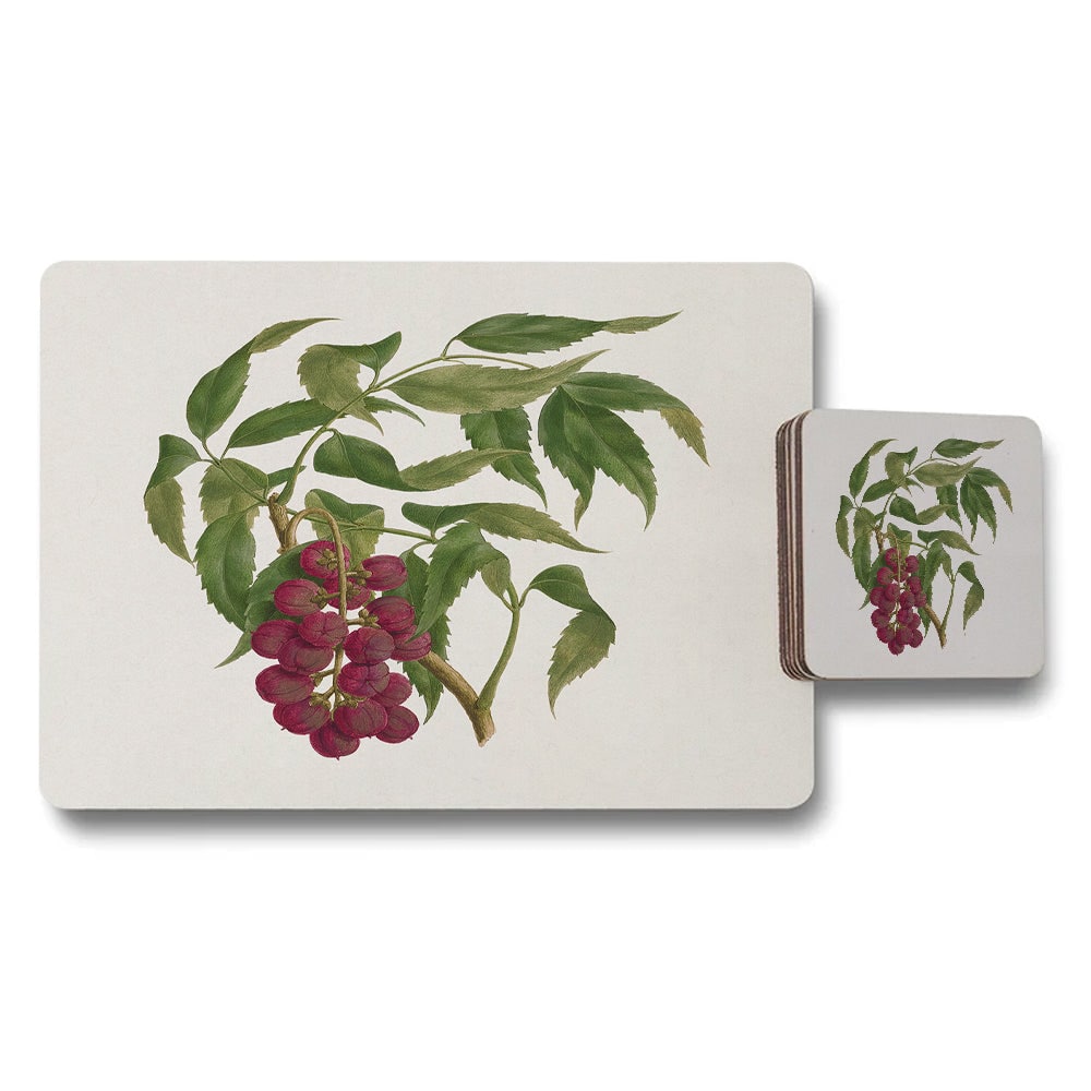 Botanical Placemats And Coasters Set With Vintage Cherry Artwork Collection Wood Bottom Limited Edition