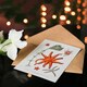 image 4 of Vintage Marine Life Art Card Deep Sea Starfish Varieties