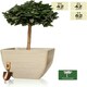 image 2 of Primrose Stone Effect Resin Indoor Outdoor Planter Plant Pot in White 52cm